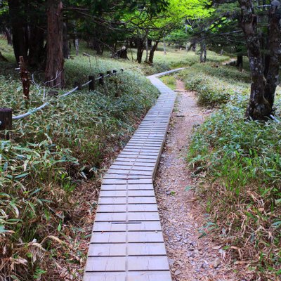 大台ケ原(日出ヶ岳)