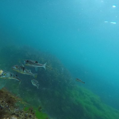 寒川海水浴場