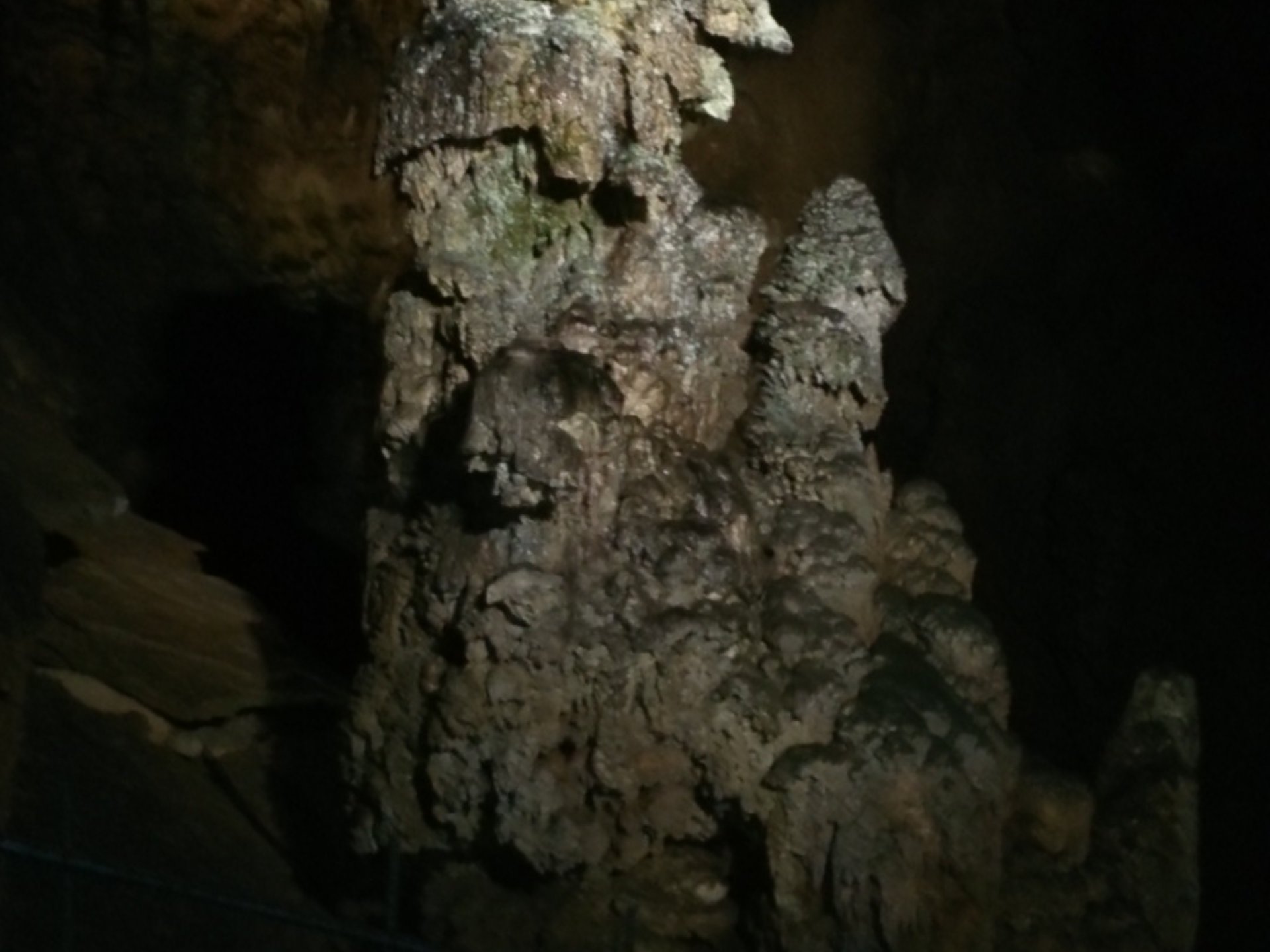 山口県『秋芳洞』日本最大規模の鍾乳洞！自然の凄さに感動！