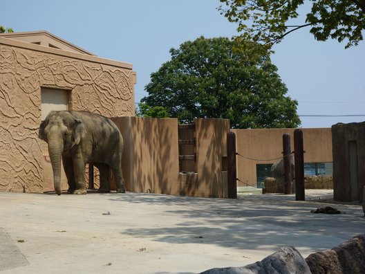 かみね動物園