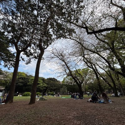 代々木公園