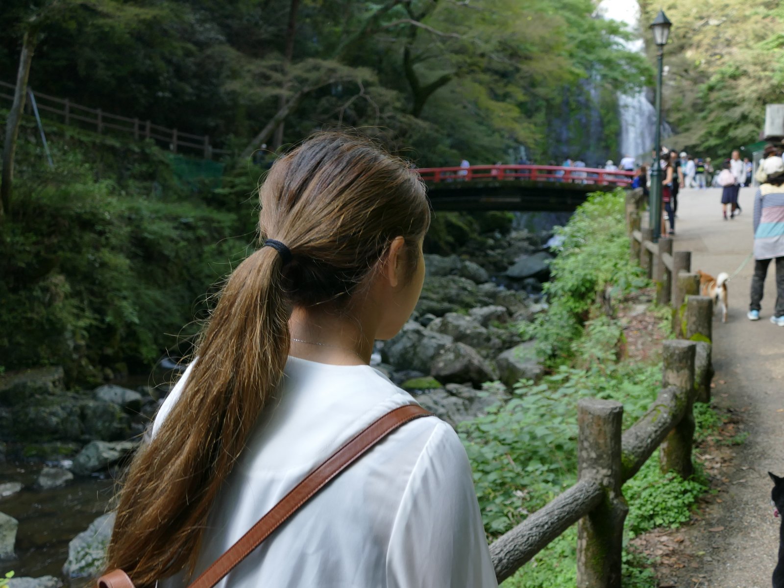 箕面公園