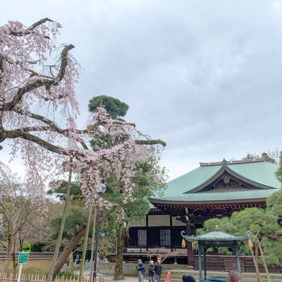 東漸寺