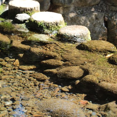 お鷹の道・真姿の池湧水群