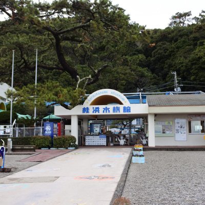 桂浜水族館