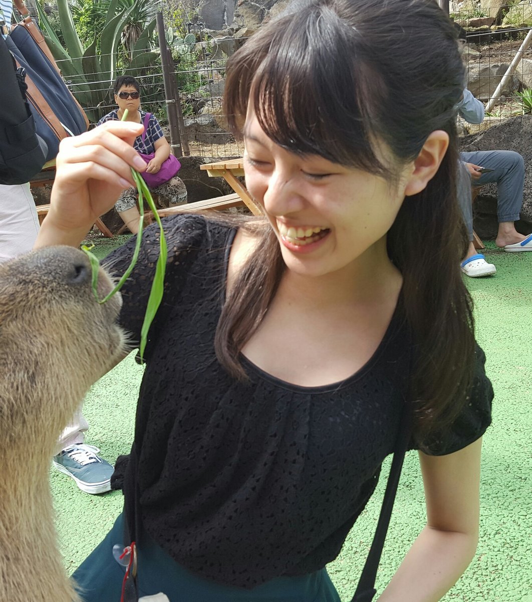 シャボテン公園/東海バス