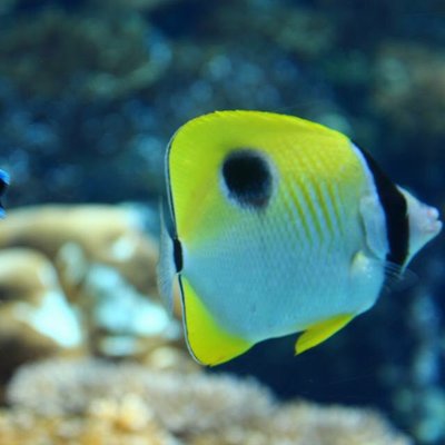 沖縄美ら海水族館