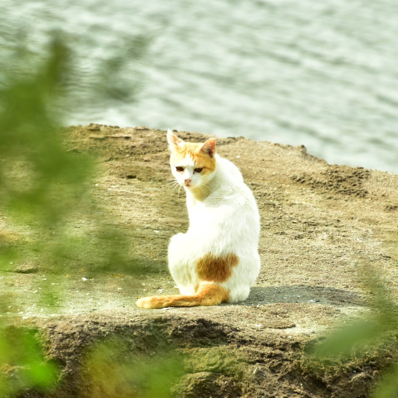 大井ふ頭中央海浜公園スポーツの森