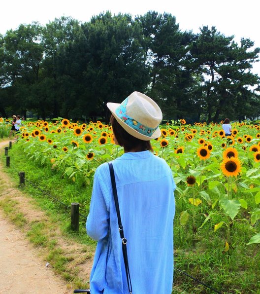 万博記念公園