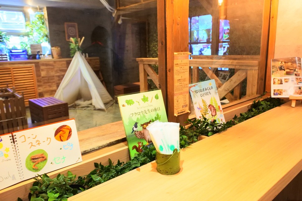 大阪アメ村で満喫！動物たちが暮らす森のカフェ「animeal」で思う存分癒されプラン♡ PlayLife [プレイライフ]