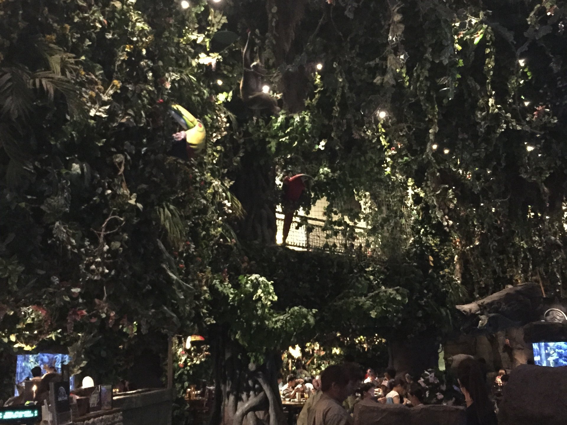 【イクスピアリグルメ】え、ジャングル！？「Rainforest Cafe」で思い出に残る食事を！