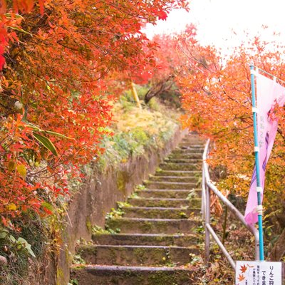 天龍峡農園