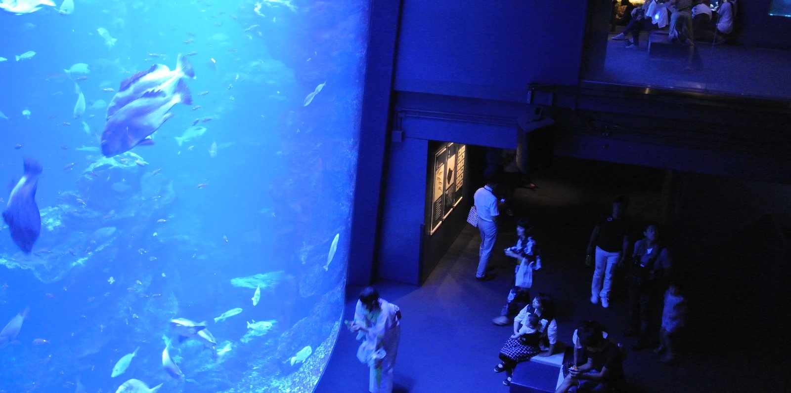 京都水族館