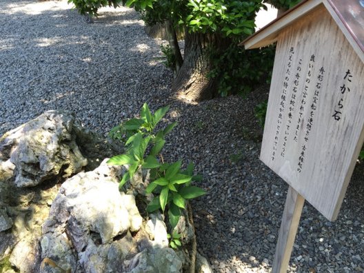 猿田彦神社