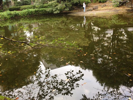 清水谷公園