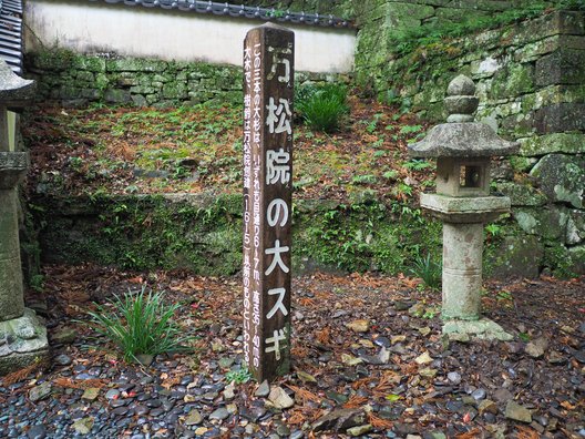 万松院