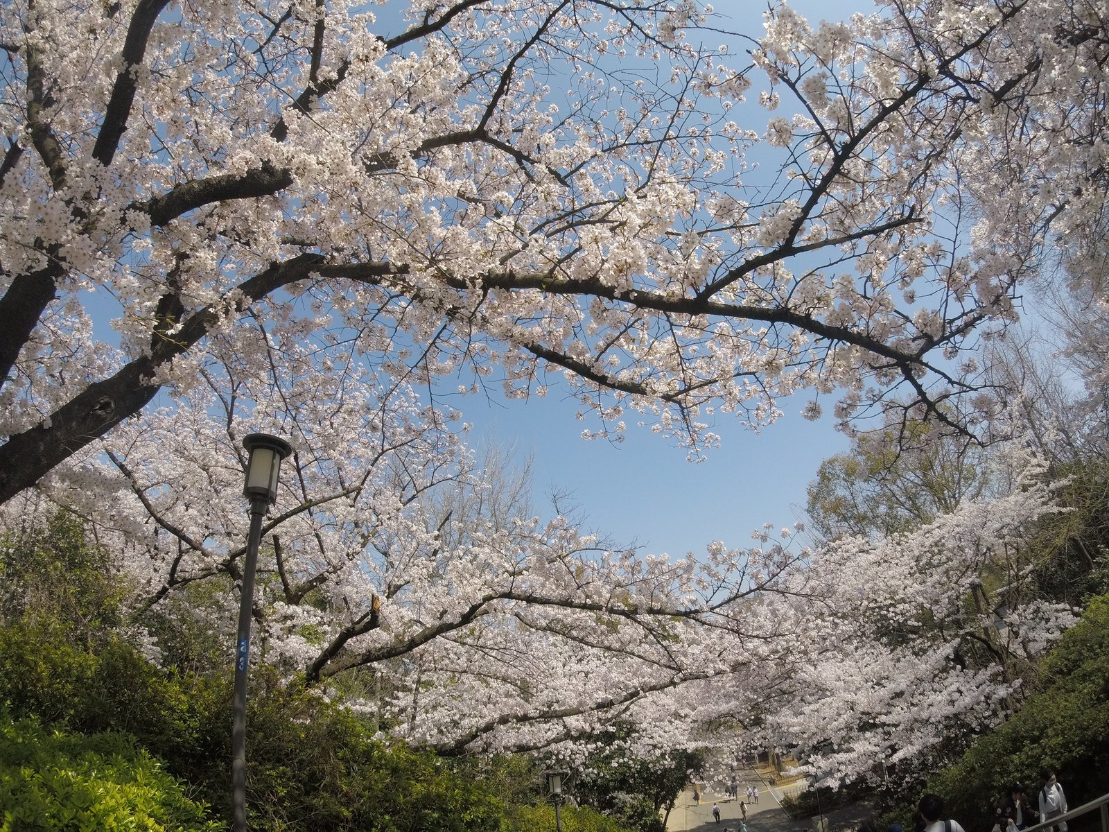 大阪城公園