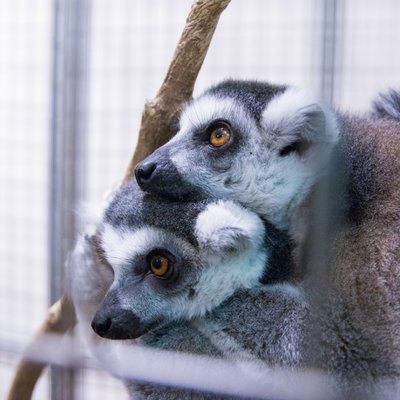 伊豆シャボテン動物公園