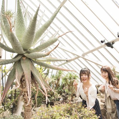 伊豆シャボテン動物公園