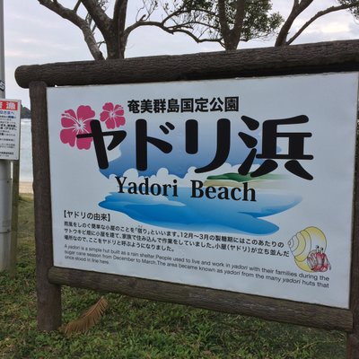 ヤドリ浜