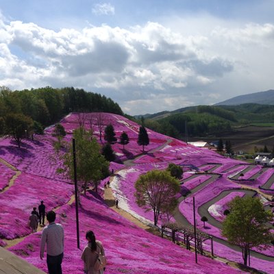 東藻琴芝桜公園キャンプ場