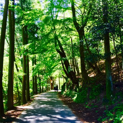 石見銀山公園