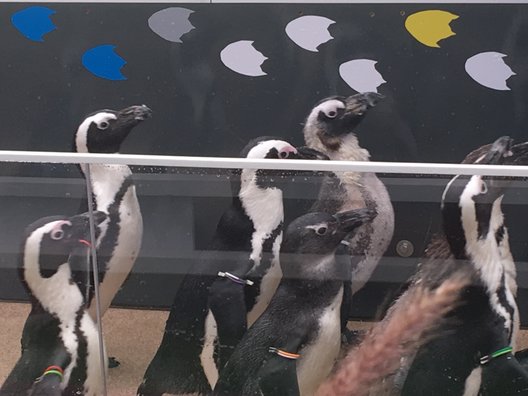 サンシャイン水族館