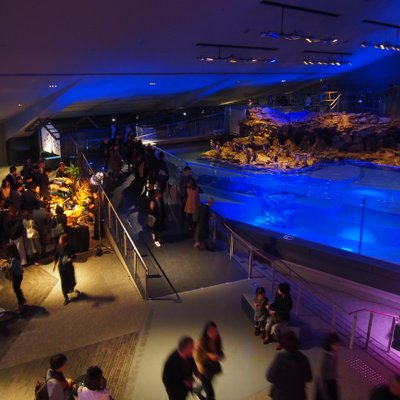 すみだ水族館