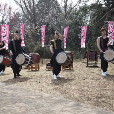 修善寺自然公園