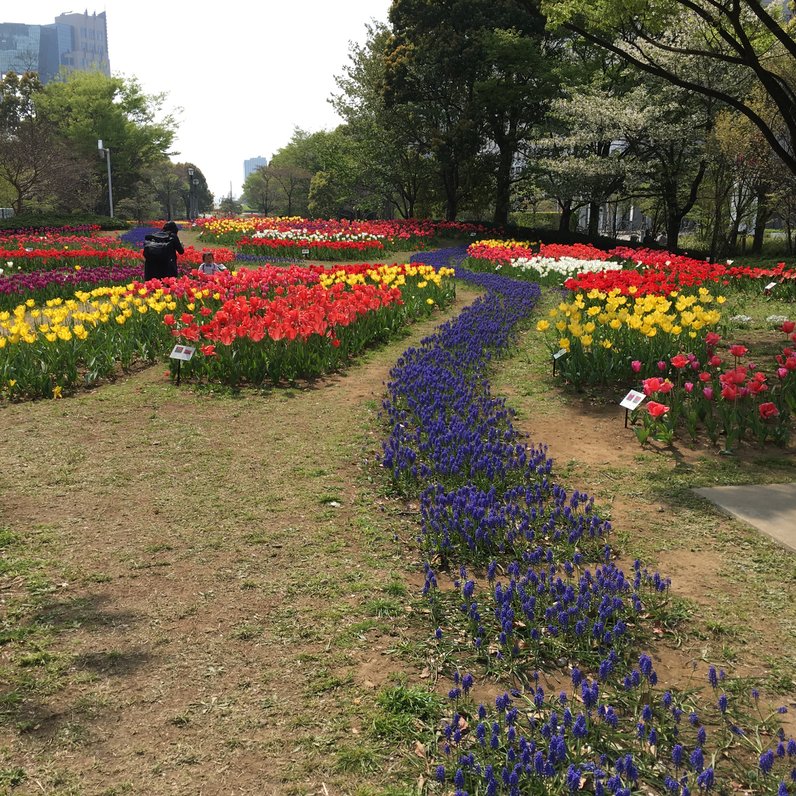 パナソニックセンター東京