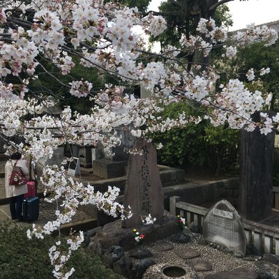 泉岳寺