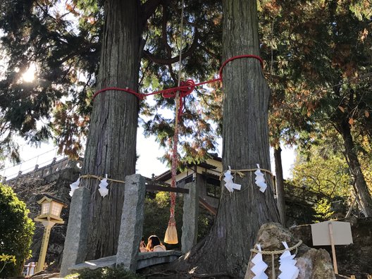 武雄神社