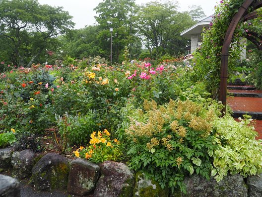 箱根強羅公園