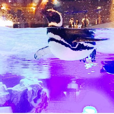 すみだ水族館