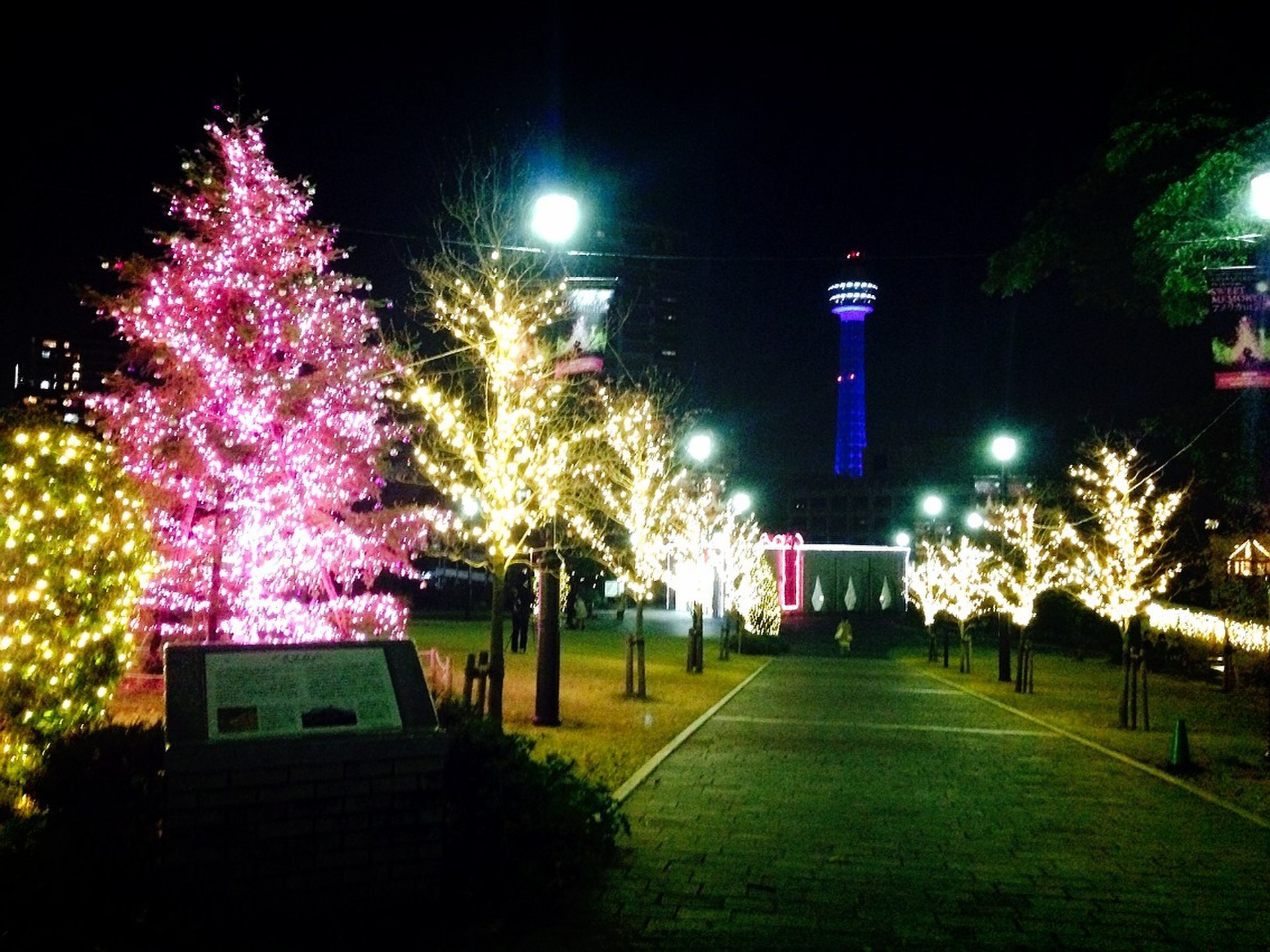 【横浜・元町。アメリカ山公園！新スポット】駅近、穴場のクリスマスデートのイルミネーション