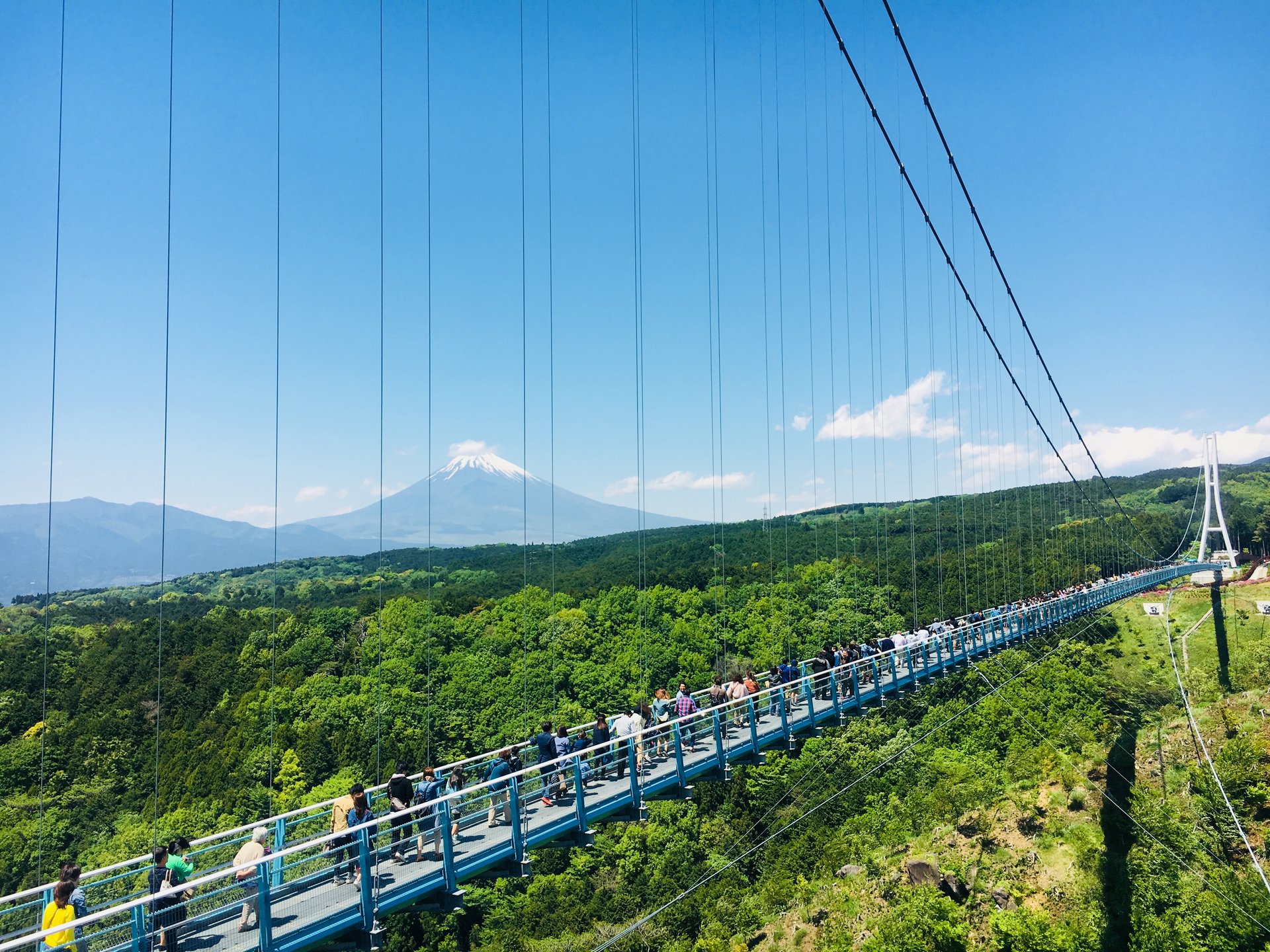 【夏におすすめ！日帰り旅行】三島スカイウォークでヒヤリ体験！