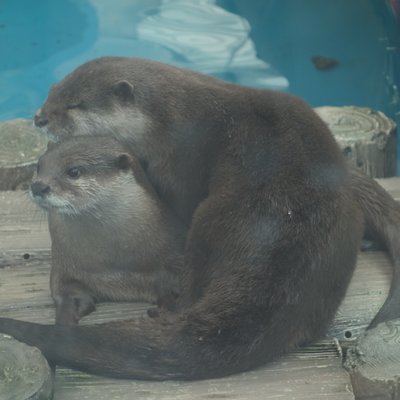 サンシャイン水族館