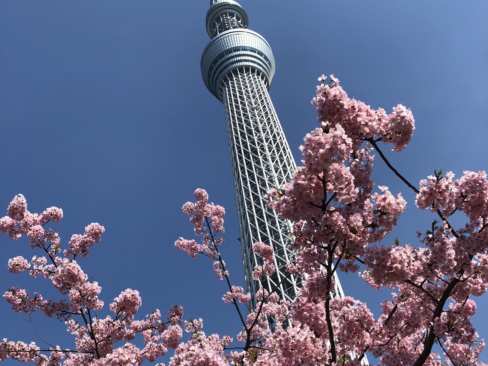 東武橋