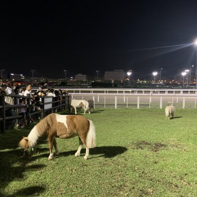 大井競馬場