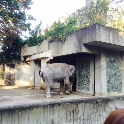 井の頭自然文化園