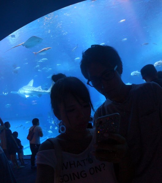 沖縄美ら海水族館