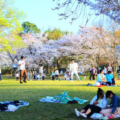 万博記念公園