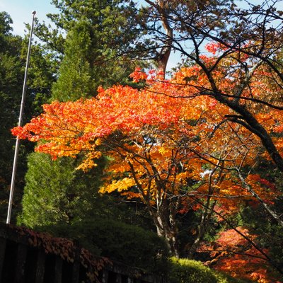 北口本宮冨士浅間神社