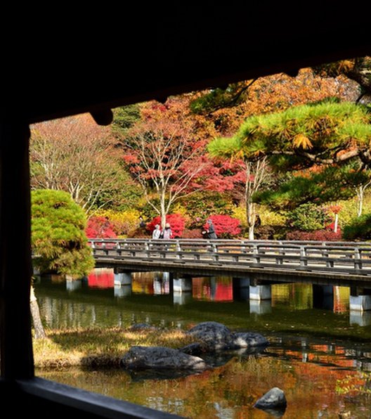 国営昭和記念公園