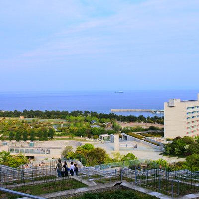 国営明石海峡公園