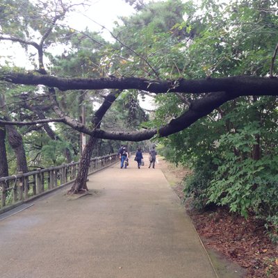 上智大学