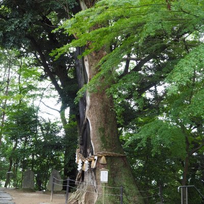 常陸国総社宮