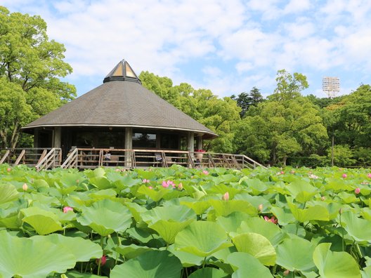 千葉公園ボートセンター