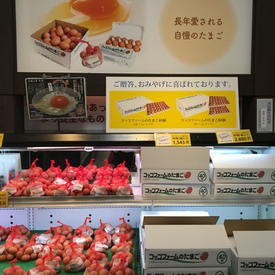 コッコファームたまご庵 物産館