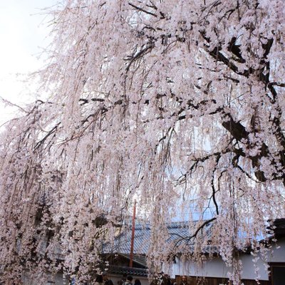 本満寺